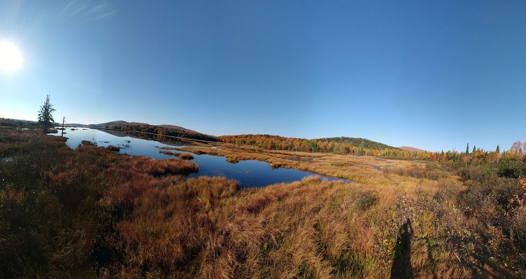 Marais du nord start | 1161 Chemin de la Grande Ligne, Stoneham-et-Tewkesbury, QC G3C 0Y3, Canada