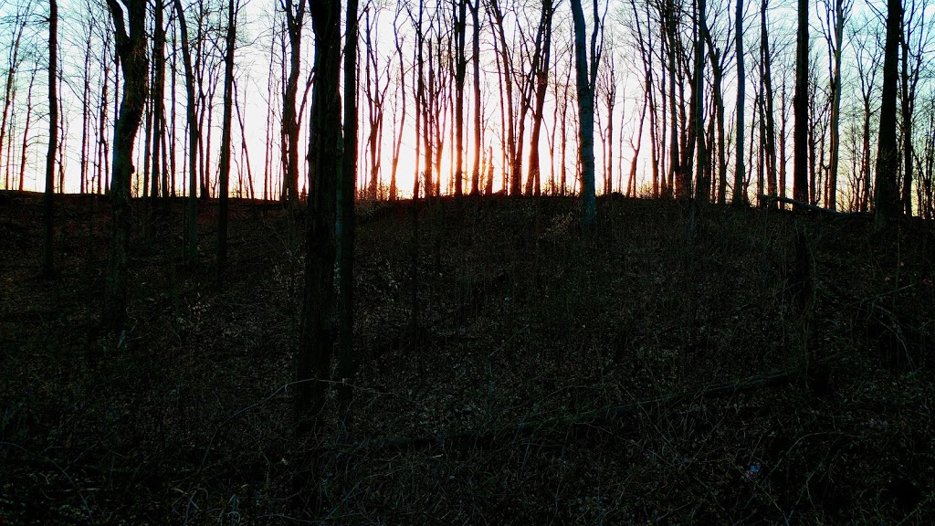Thornhill Woods Park | 289 Thornhill Woods Dr, Thornhill, ON L4J 8Y5, Canada | Phone: (905) 326-8626