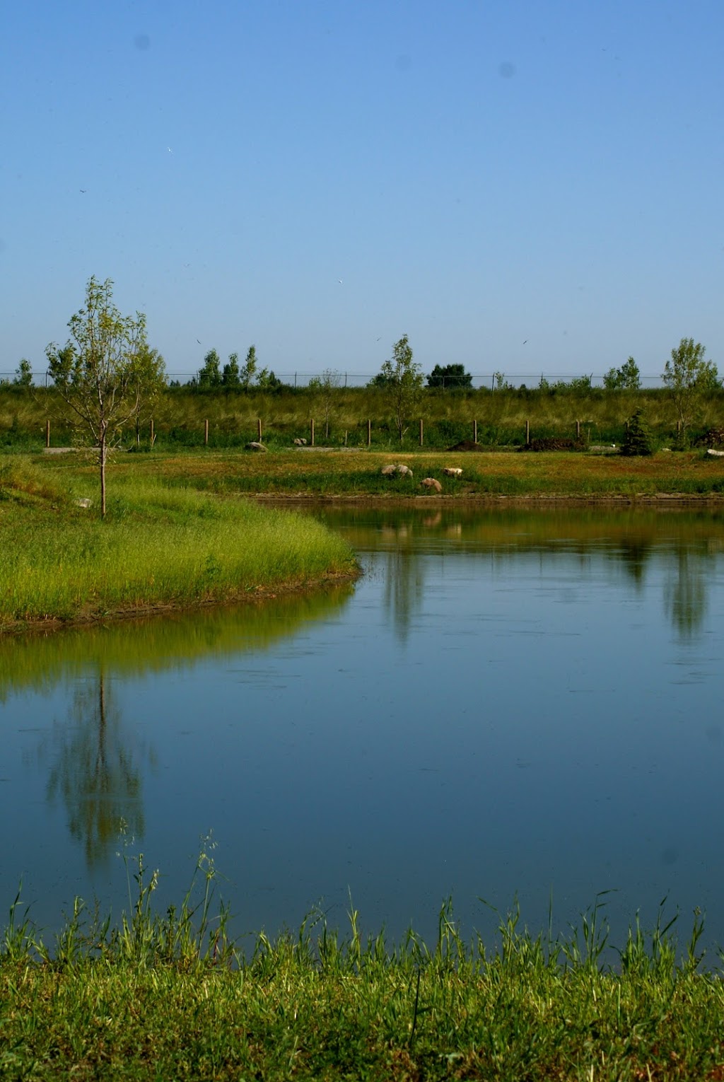 The Seasons | 3112 8 Street, Coaldale, AB T1M 0C6, Canada | Phone: (403) 345-2116