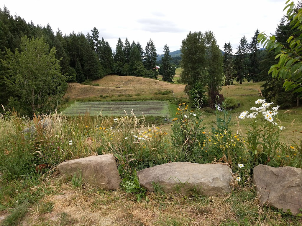 Alderlea Farm and Cafe | 3390 Glenora Rd, Duncan, BC V9L 6S1, Canada | Phone: (250) 597-3438