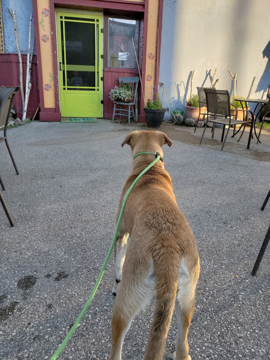 The Breakwater Ice Cream & Coffee Bar | 16 Main St, Winnipeg Beach, MB R0C 3G0, Canada | Phone: (204) 485-4896