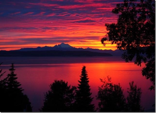 Samish Center for Mindful Compassion | Meditation | Qigong | Mas | 10641 Samish Island Rd, Bow, WA 98232, USA