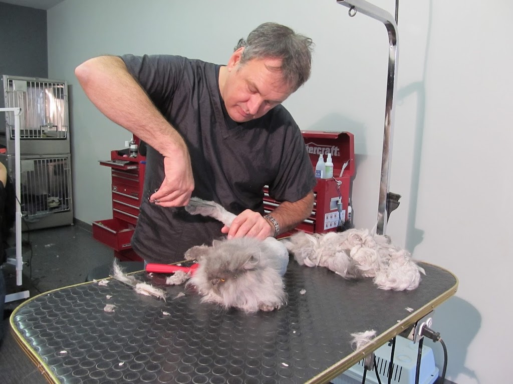 Pour Chien Et Chat Seulement | 8602 Rue Centrale, LaSalle, QC H8P 1N5, Canada | Phone: (514) 364-9614