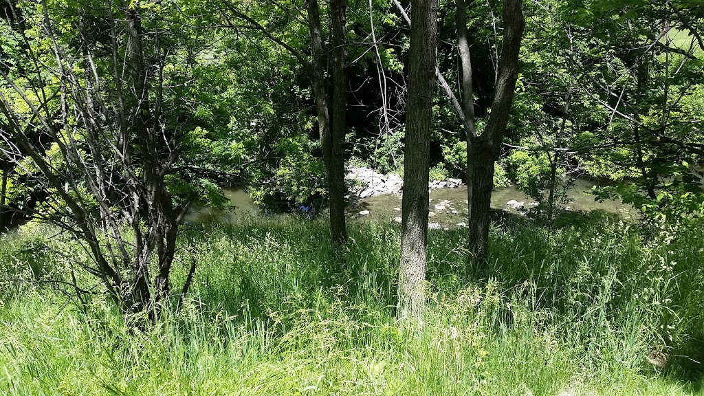 Ron Watson Park | 140 Bonis Ave, Toronto, ON M1T, Canada