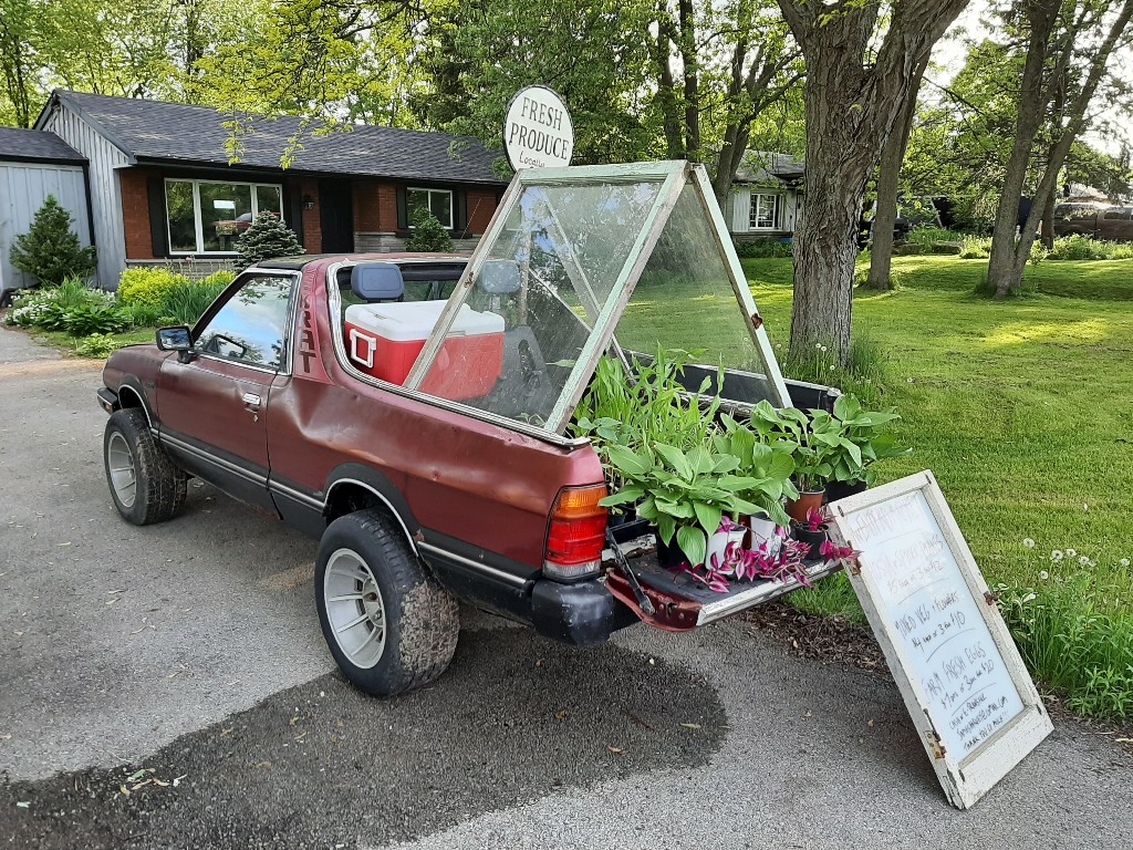 Twenty Road Market | 6465 Twenty Rd E, Hannon, ON L0R 1P0, Canada | Phone: (905) 546-7093