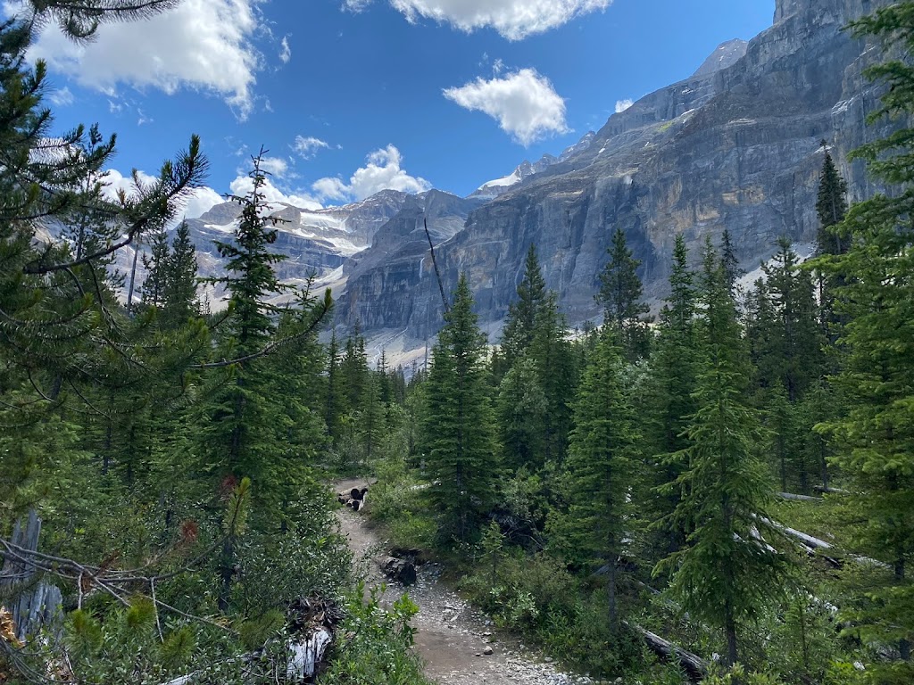 Stanley Glacier Trailhead | Kootenay Hwy, East Kootenay G, BC V0A 1E0, Canada | Phone: (250) 347-9505