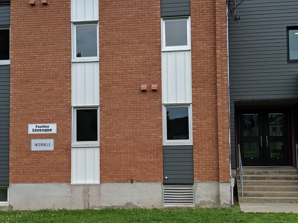 Centre Jeunesse Pavillon Lévesque | Rock Forest–Saint-Élie–Deauville, Sherbrooke, QC J1N 3A1, Canada | Phone: (819) 864-4221