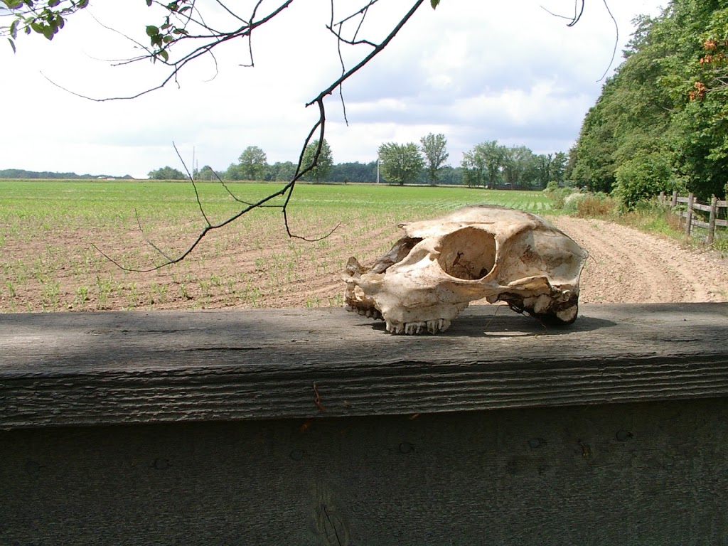 Southwold Earthworks National Historic Site | 7930 Iona Rd, Fingal, ON N0L 1K0, Canada | Phone: (905) 468-6614