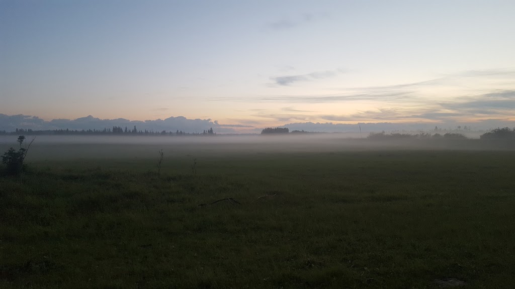 Cottonwood Gordon Ag Society | 3005 Township Rd 352, Spruce View, AB T0M 1V0, Canada | Phone: (403) 227-2489