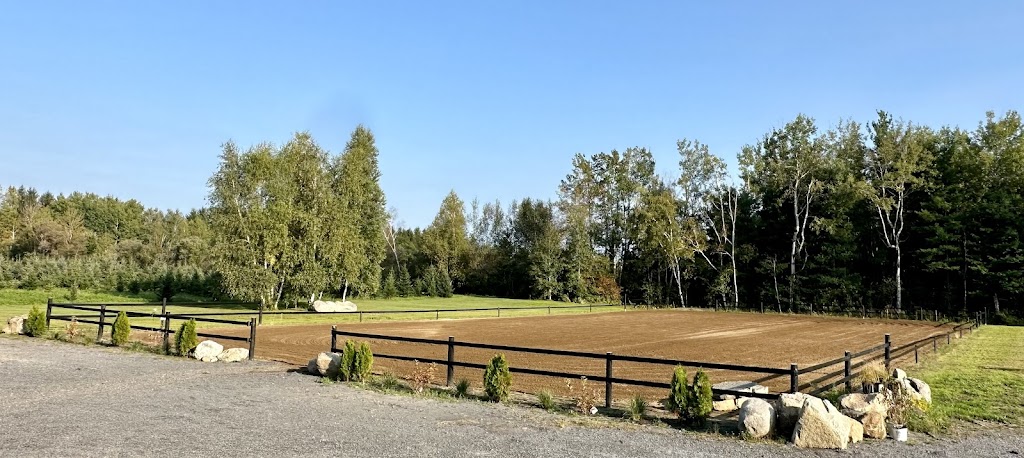 Black Oak Equestrian Inc. | 6075 Snake Island Rd, Osgoode, ON K0A 2W0, Canada | Phone: (613) 323-7794