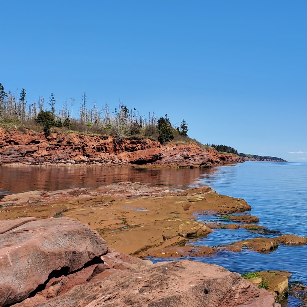 Cliffside Inn | 11561 Shore Rd, Murray River, PE C0A 1W0, Canada | Phone: (289) 922-8789