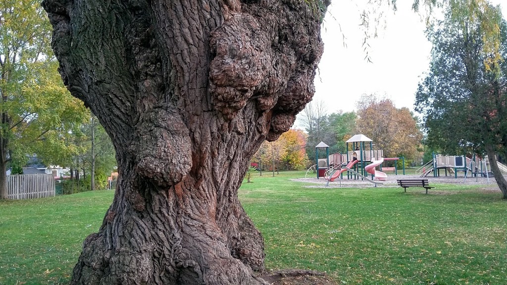 Alderwood Memorial Park | 215 Sheldon Ave, Etobicoke, ON M8W 2M8, Canada | Phone: (416) 338-4386