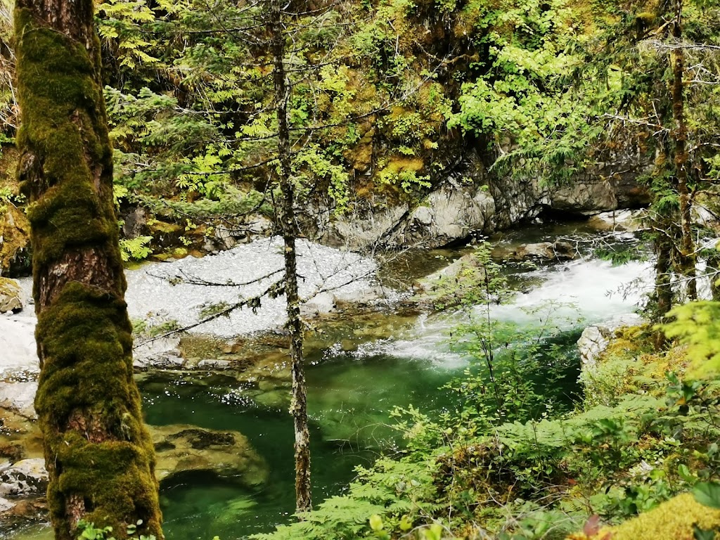 Little Qualicum Falls Provincial Park | 4001 Alberni Hwy, Qualicum Beach, BC B9K 1X7, Canada | Phone: (250) 474-1336