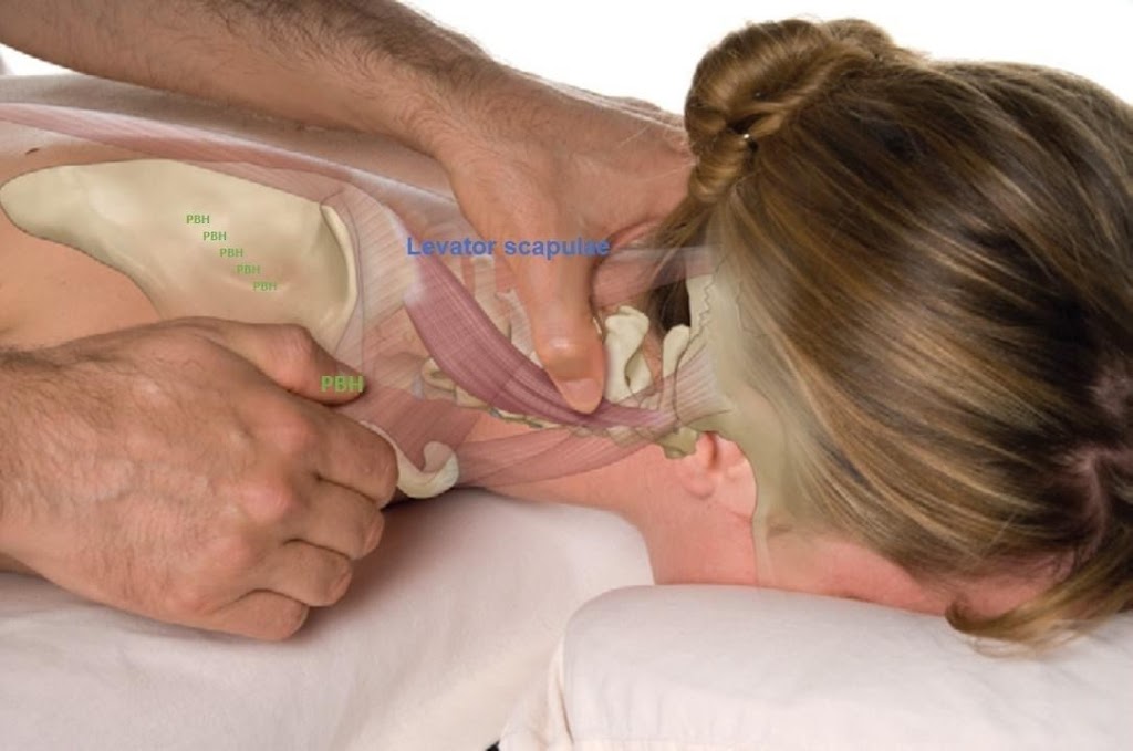 Warren Wellness | 260-C, Railway Ave, Warren, MB R0C 3E0, Canada | Phone: (204) 861-2114