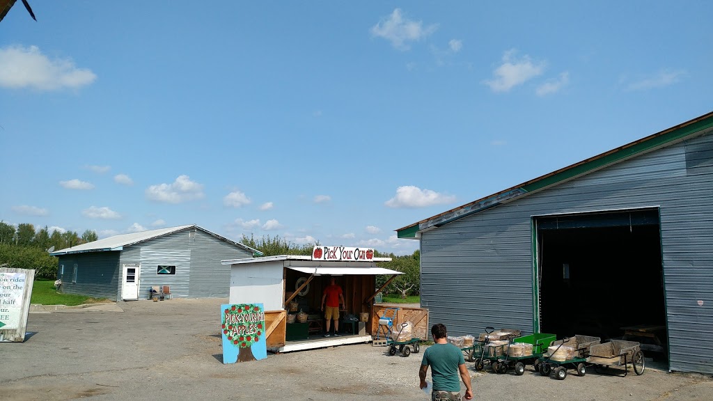 Halls Apple Market | 2930 Concession 2 Rd, Brockville, ON K6V 5T1, Canada | Phone: (613) 342-6320