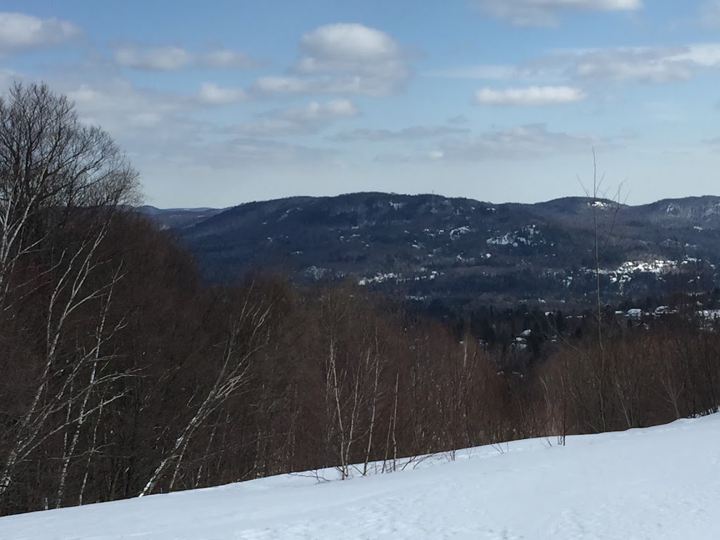 Chantecler P3 | 1609 Rue de Bernina, Sainte-Adèle, QC J8B 2Z7, Canada