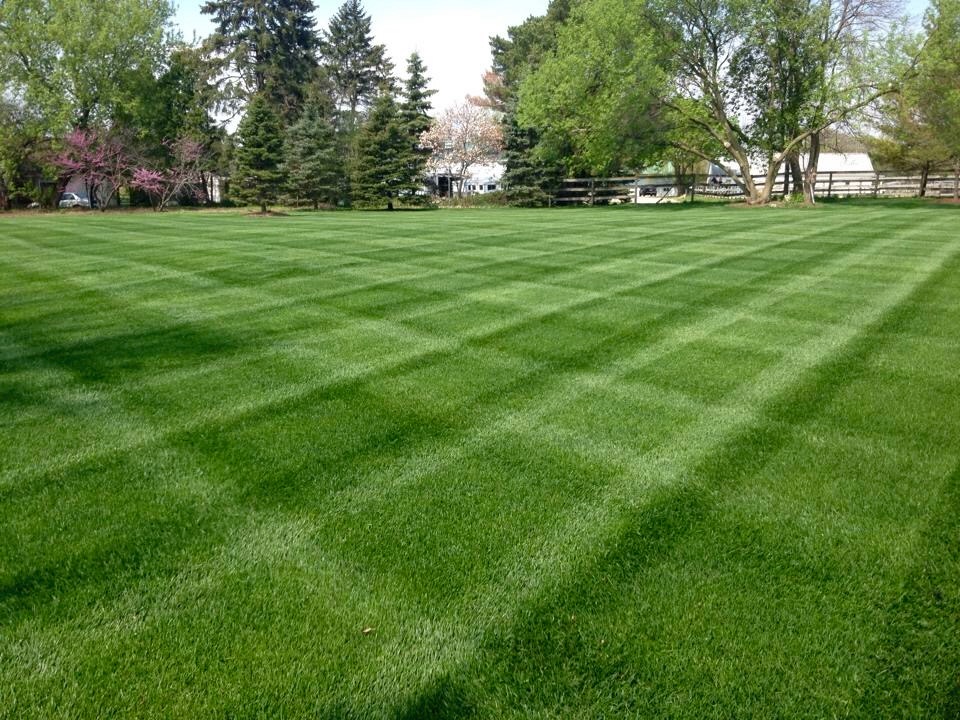 Clear Path Irrigation & Property Maintenance Inc. | 212 Royalpark Way, Woodbridge, ON L4H 1J7, Canada | Phone: (647) 725-9664