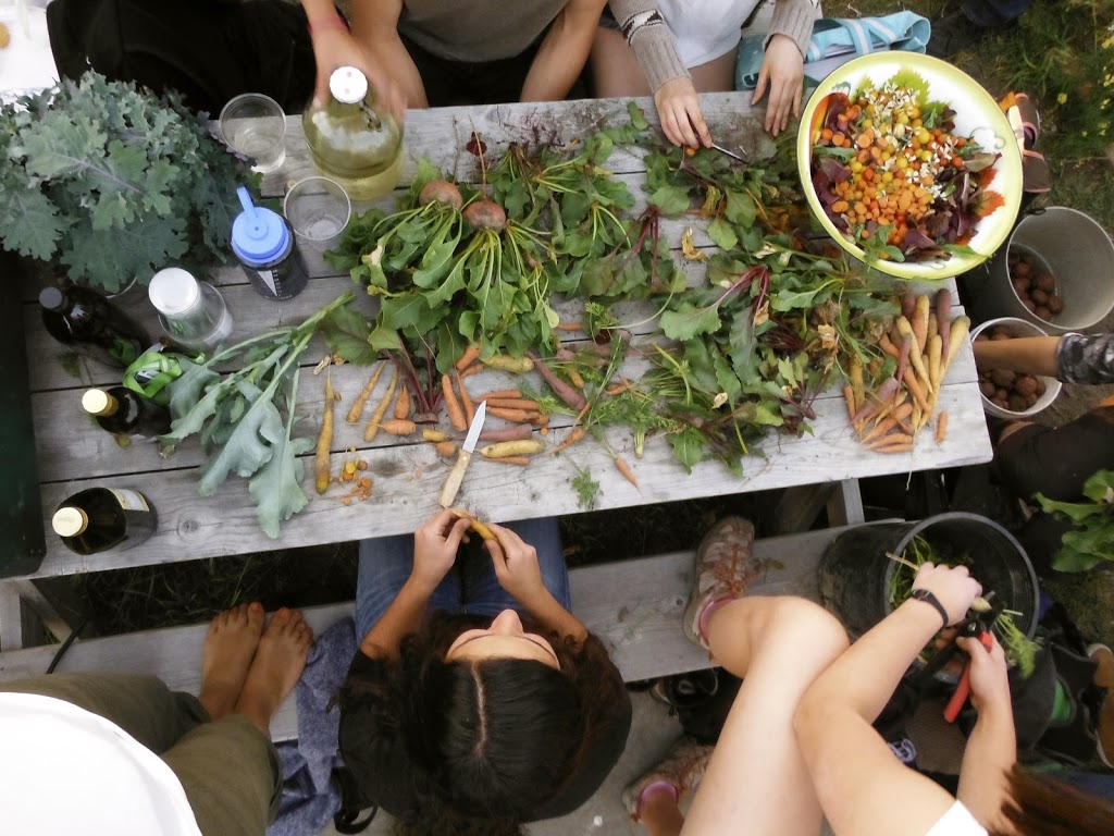 UofC Community Garden | Calgary, AB T2N 4V5, Canada