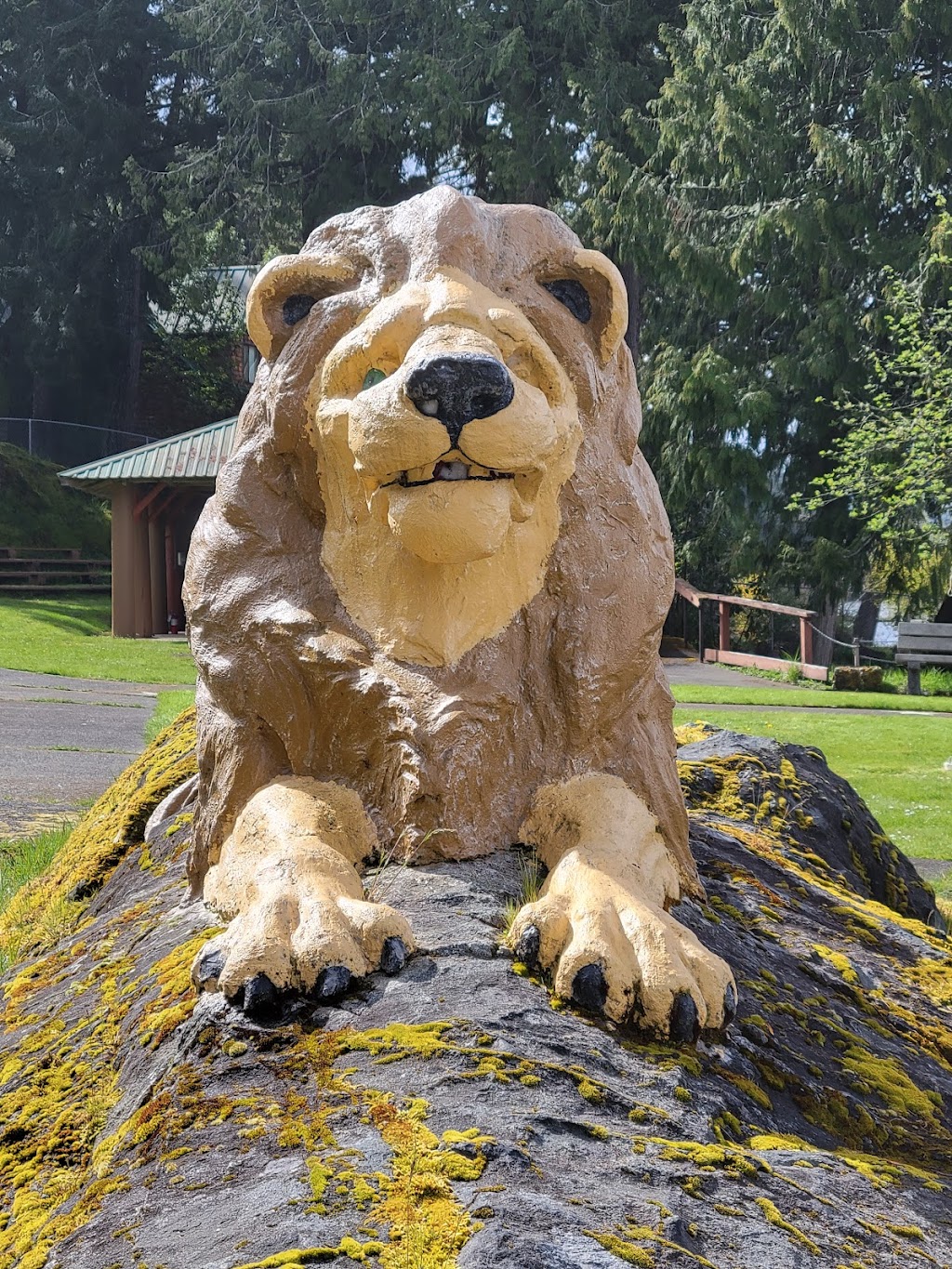 Easter Seals Camp Shawnigan | 2180 Shawnigan Lake Rd, Shawnigan Lake, BC V0R 2W5, Canada | Phone: (250) 743-3031