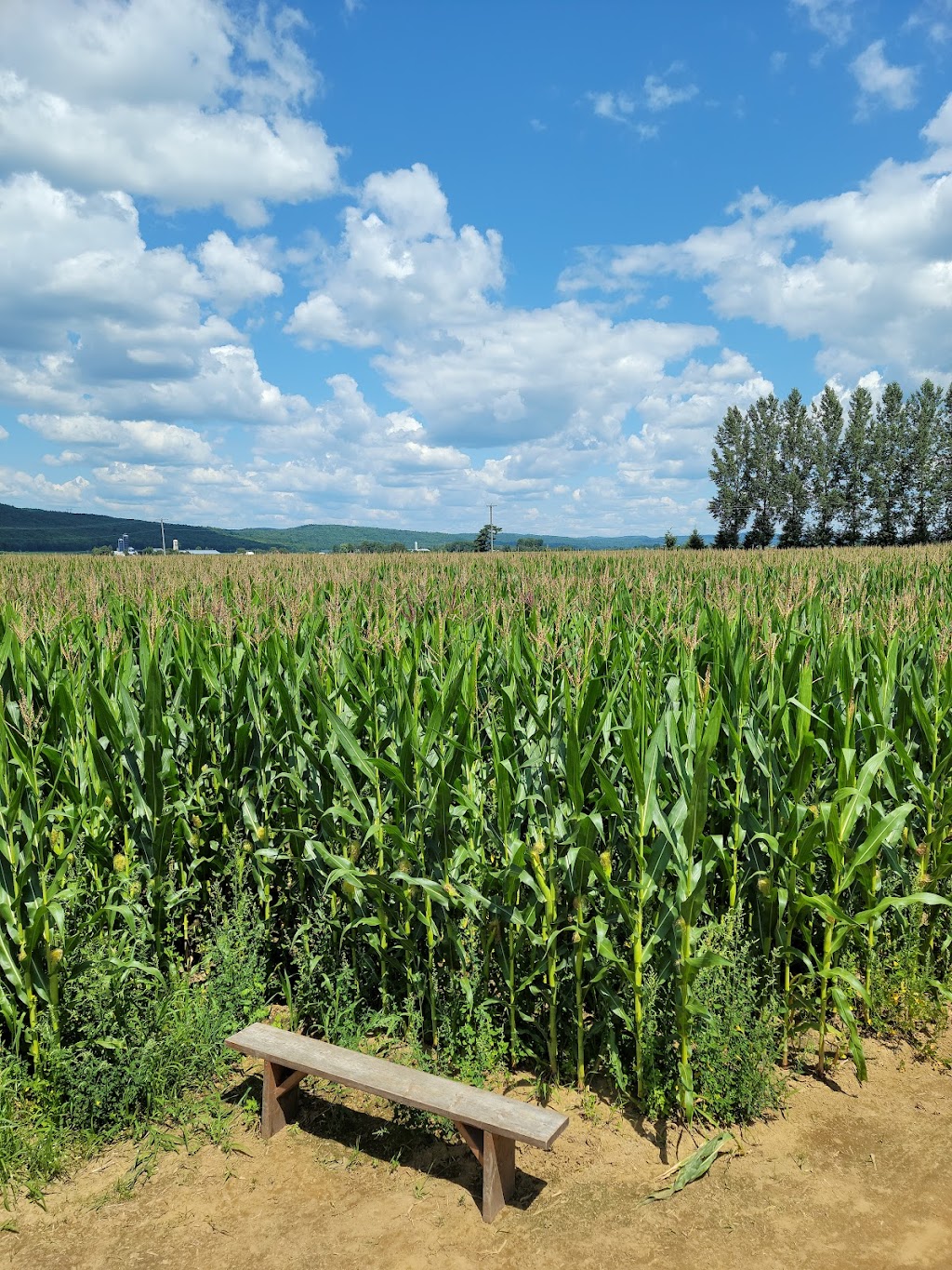 Guy Rivest Farm | 1305 Chem. Laliberté, Rawdon, QC J0K 1S0, Canada | Phone: (450) 834-5127