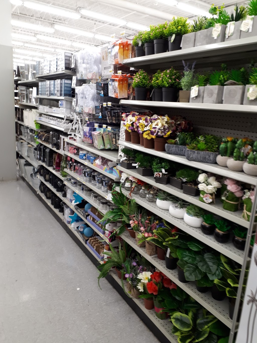 Dollarama | Mountain Plaza Mall, 661 Upper James St, Hamilton, ON L9C 5R8, Canada | Phone: (905) 383-1804
