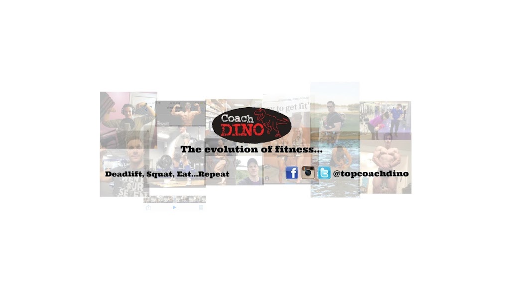 Topcoachdino | 2 Britannica Rd, Winnipeg, MB R2N 1J4, Canada | Phone: (204) 612-8044