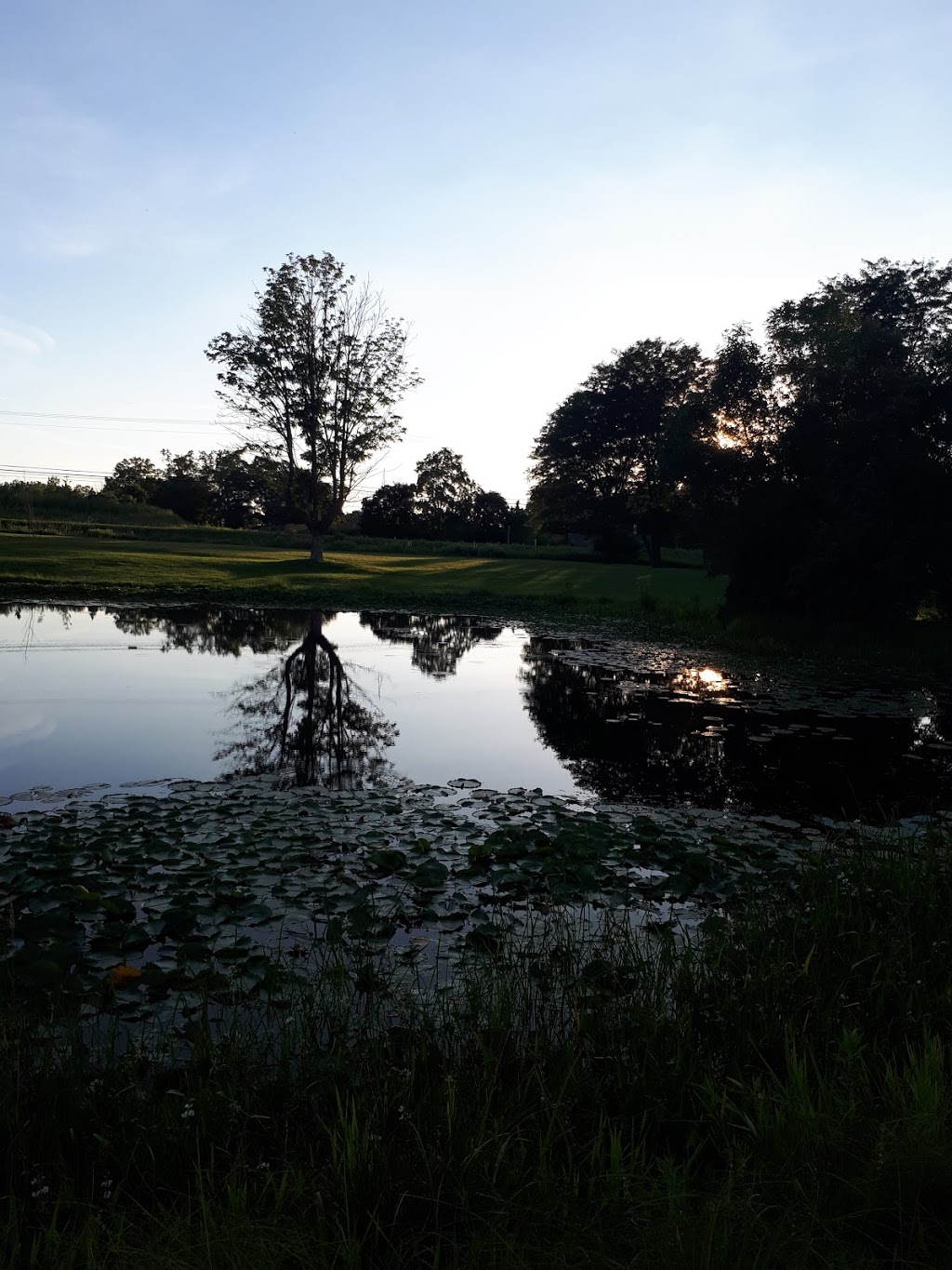 Weldon Park | Arva, ON N0M 1C0, Canada