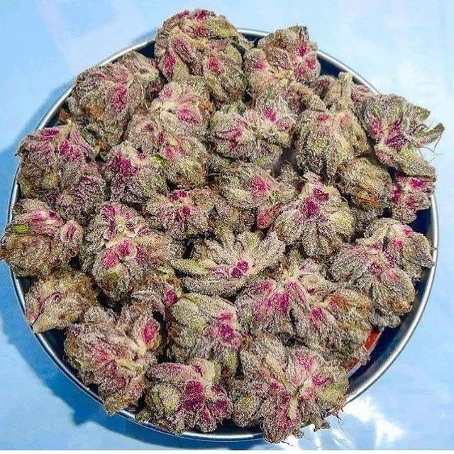 Hamilton Dispensary Online | 9300 Airport Rd, Mount Hope, ON L0R 1W0, Canada | Phone: (647) 977-5897