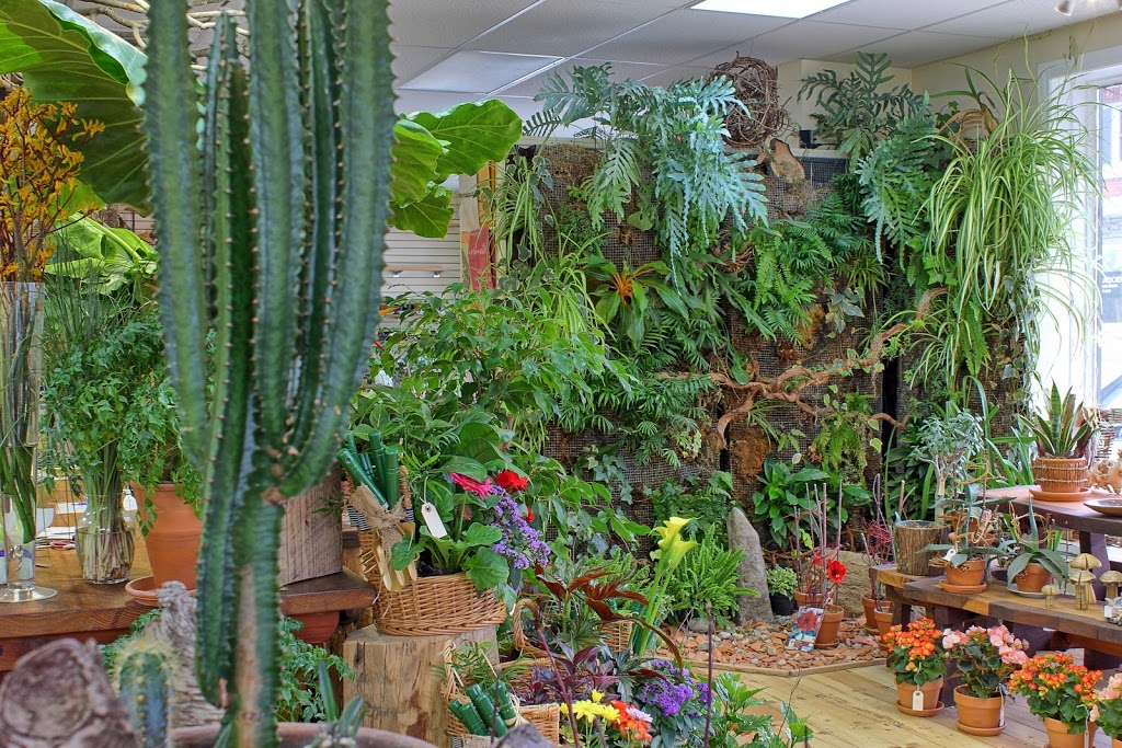 Teatro Verde, fleuriste | 42 Rue Morin, Sainte-Adèle, QC J8P 2P6, Canada | Phone: (450) 229-2257