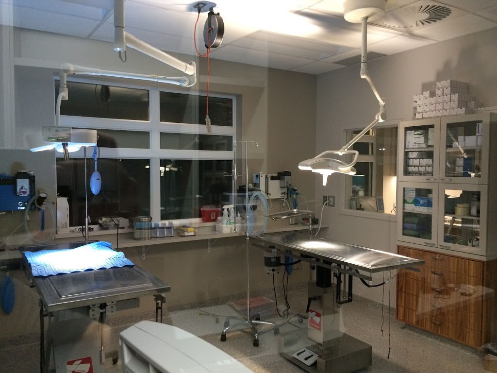 Clinique Veterinaire Douville | 5975 Boulevard Laurier O, Saint-Hyacinthe, QC J2S 3W1, Canada | Phone: (450) 774-1900