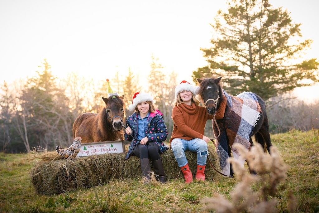 Adam Bissonnette Photography | 4307 Nova Scotia Trunk 3, Central Argyle, NS B0W 1W0, Canada | Phone: (902) 746-8109
