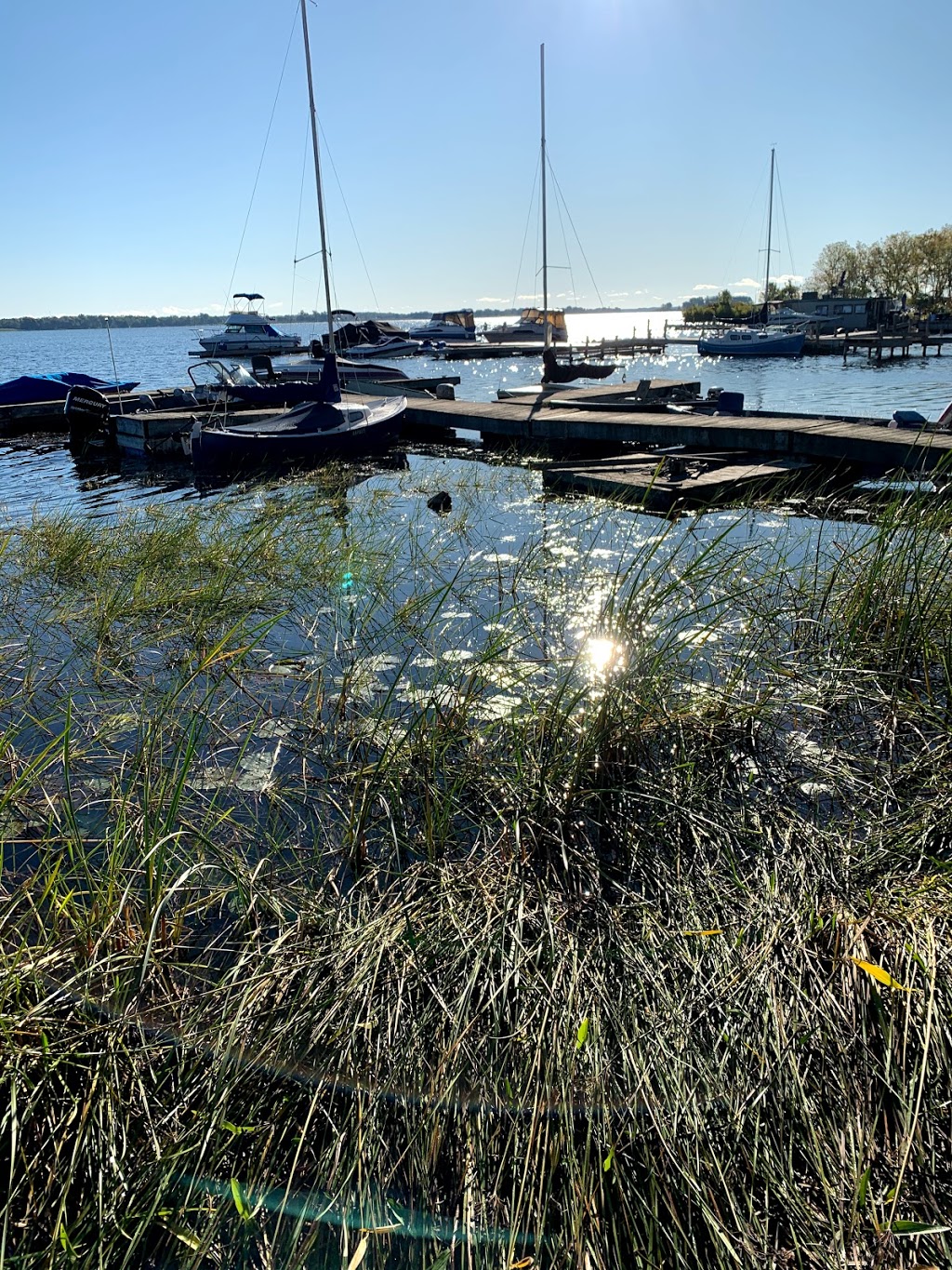 Wellers Bay Campground | 65 Carter Rd, Carrying Place, ON K0K 1L0, Canada | Phone: (613) 475-3113