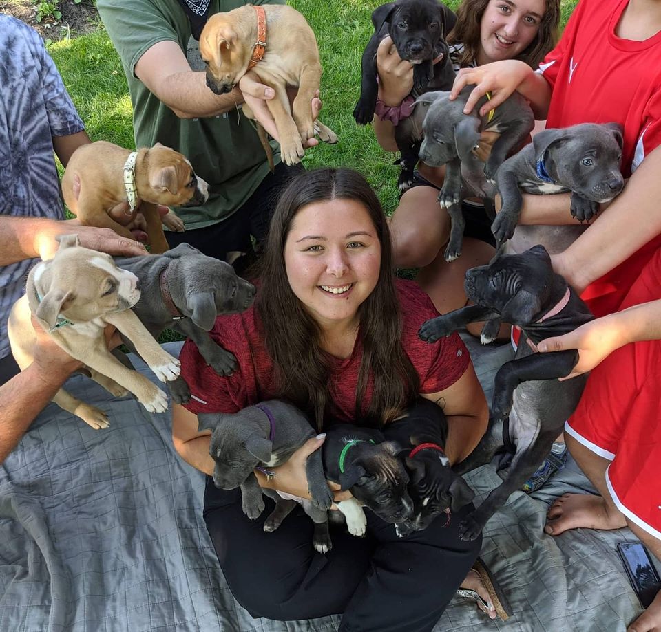 Dos 4 Doggies | 43 Elginfield Dr, Guelph, ON N1E 4E5, Canada | Phone: (519) 820-3164