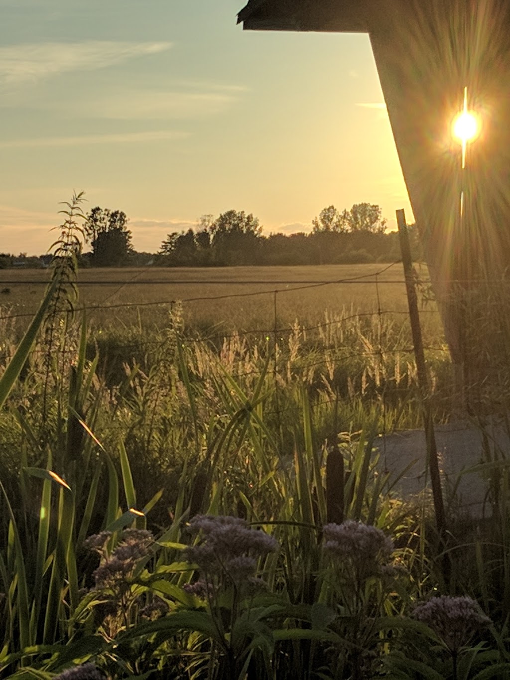 Musky Bay Lodge | 1887 Musky Bay Rd, St.-Charles, ON P0M 2W0, Canada | Phone: (705) 867-0528
