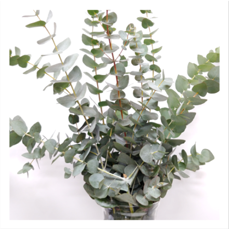 Rusty Bucket Creations | 1336 Meadowbrook Dr SE, Airdrie, AB T4A 2B3, Canada | Phone: (587) 360-2123
