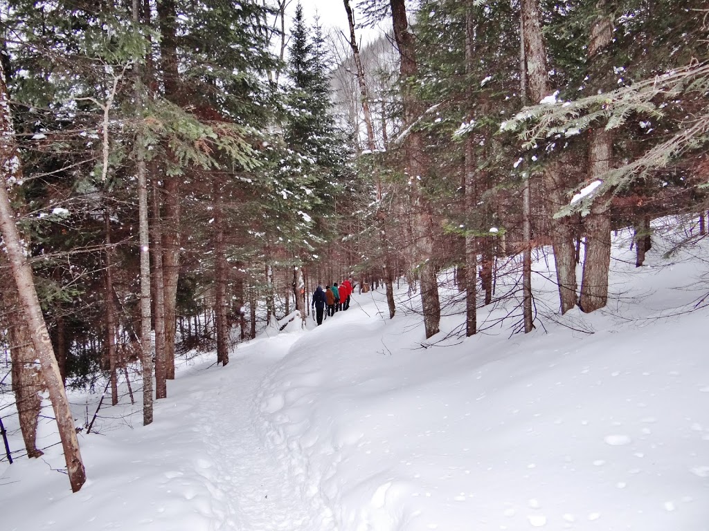 Cote Nord Tremblant | 210 Chemin Des Ecorces, Lac-Supérieur, QC J0T 1P0, Canada | Phone: (888) 624-6097