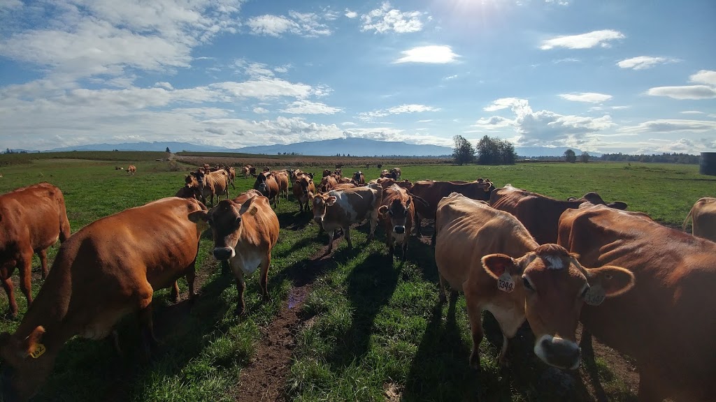Grace Harbor Farms | 2347 Birch Bay Lynden Rd, Custer, WA 98240, USA | Phone: (360) 366-4151