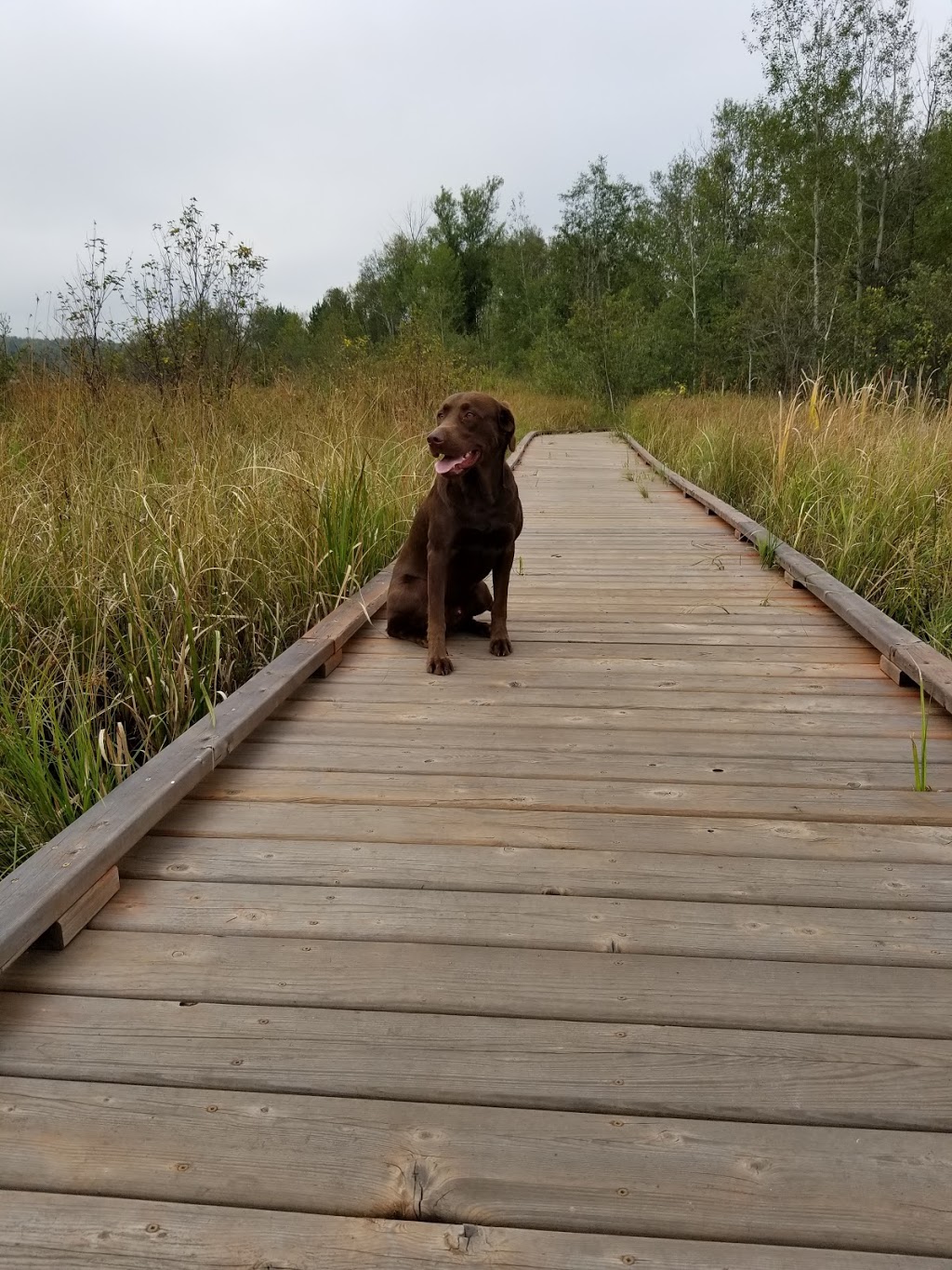 Fielding Memorial Park | 345 Fielding Rd, Copper Cliff, ON P0M 1N0, Canada | Phone: (705) 682-0880