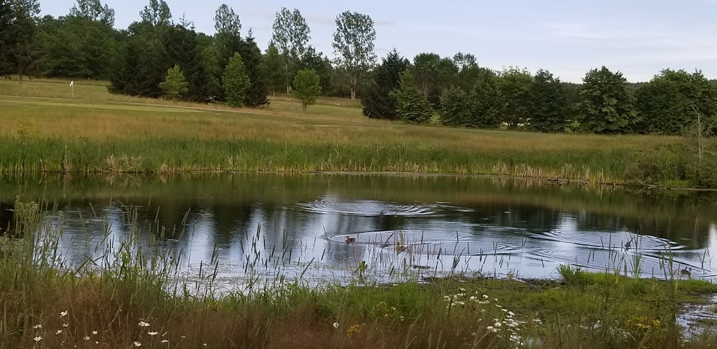 Sussex Golf & Curling Club | 148 Picadilly Rd, Picadilly, NB E4E 5H8, Canada | Phone: (506) 433-4951
