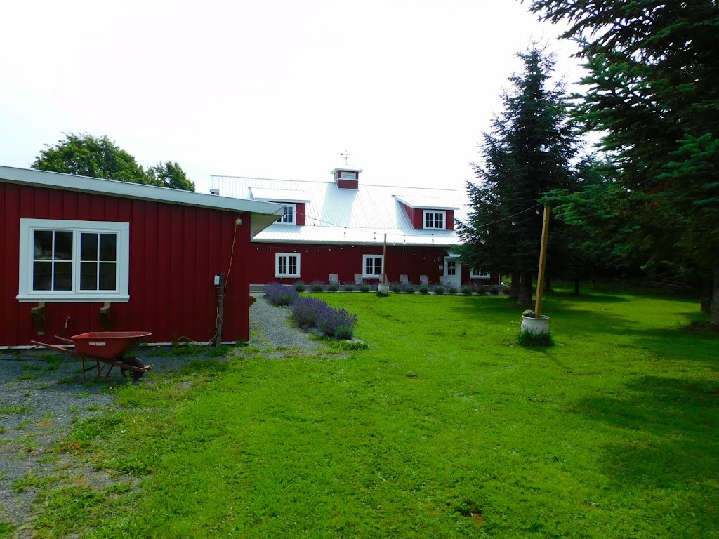 Greendale Lavender Company | 42050 S Sumas Rd, Chilliwack, BC V2R 4W3, Canada | Phone: (604) 615-2343