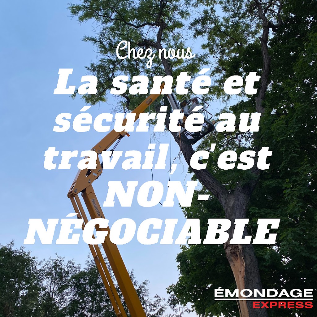 Émondage Express | 99A Bd de lAéroport, Bromont, QC J2L 1S8, Canada | Phone: (833) 624-7669