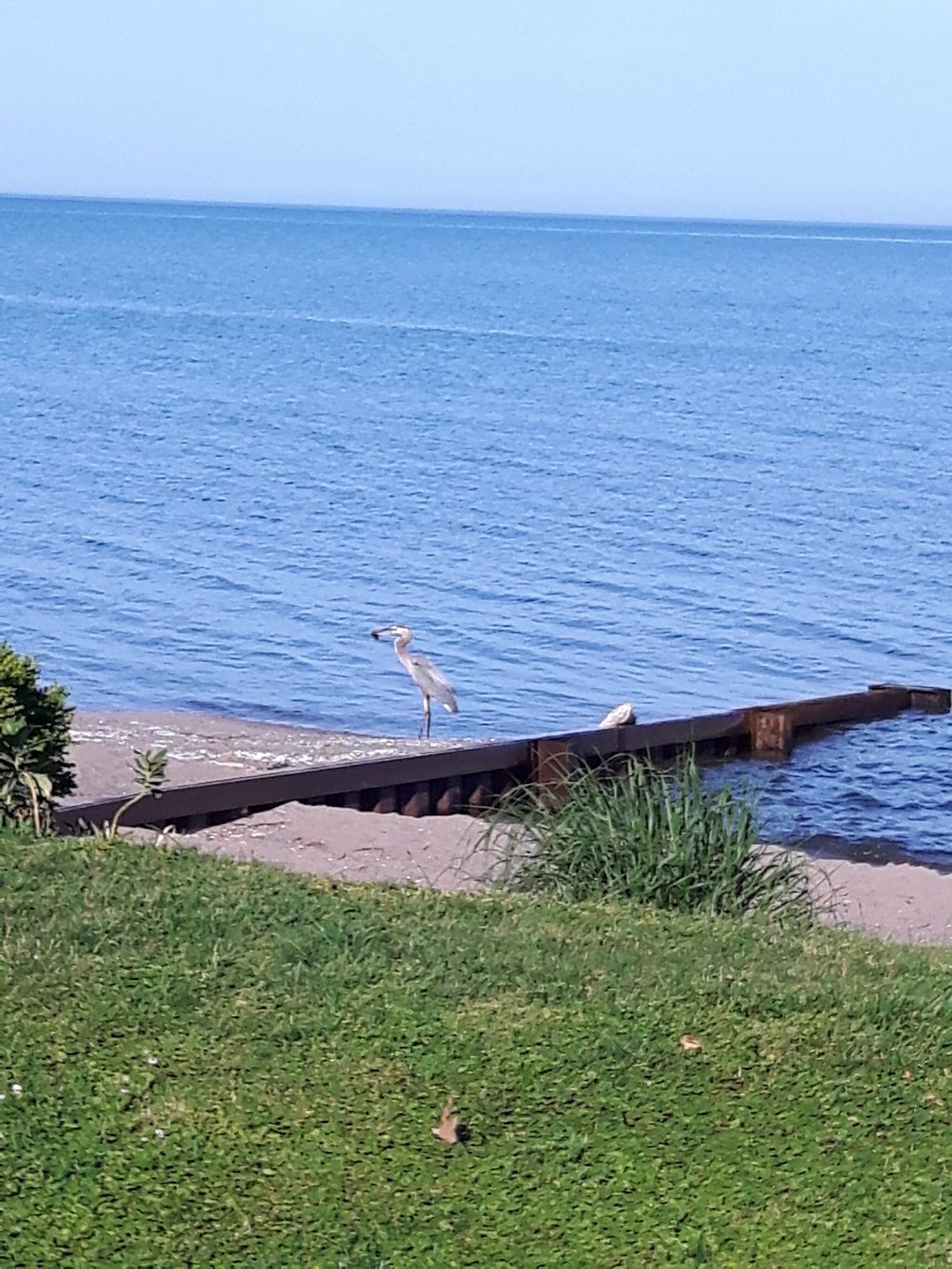 Rose Beach - Public Park | 12021 Rose Beach Line, Morpeth, ON N0P 1X0, Canada