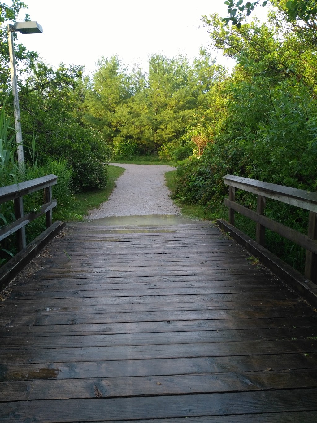 Russell Tilt Park | 35 Blackforest Dr, Richmond Hill, ON L4E 2N8, Canada | Phone: (905) 771-8800