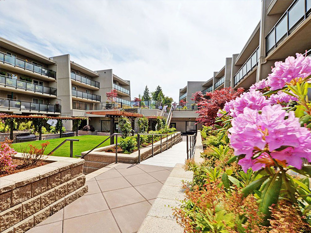 Lazaro Landscaping | 4031 Blenkinsop Rd, Victoria, BC V8X 2C1, Canada | Phone: (250) 858-0377