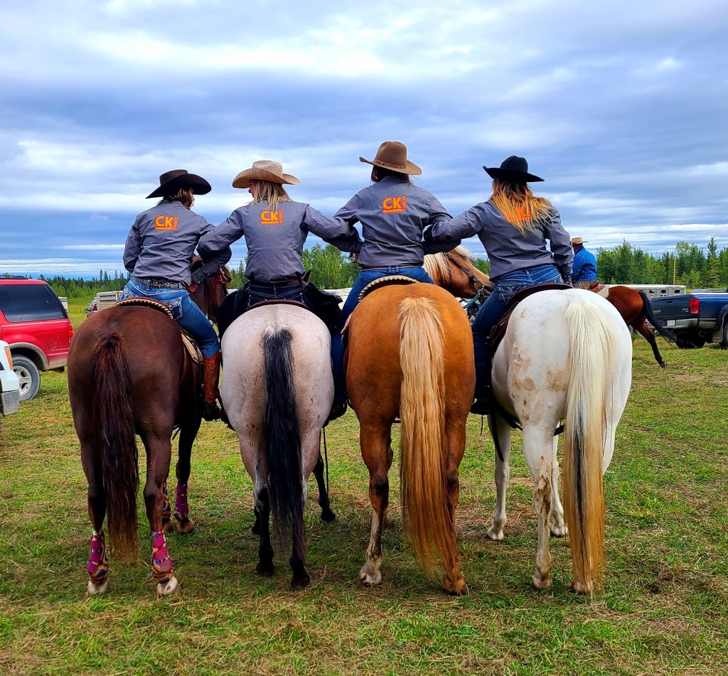 James River Horse Palace | Mountain View County, AB T0M 1C0, Canada | Phone: (403) 638-9494