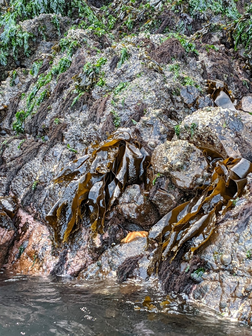 Burrows Island Marine State Park | Anacortes, WA 98221, USA