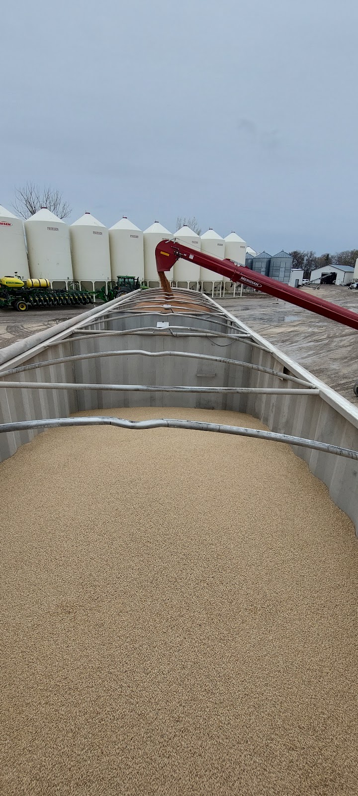 Rutherford Farms Ltd | 70127 Road 1E, Grosse Isle, MB R0C 1G0, Canada | Phone: (204) 467-5613