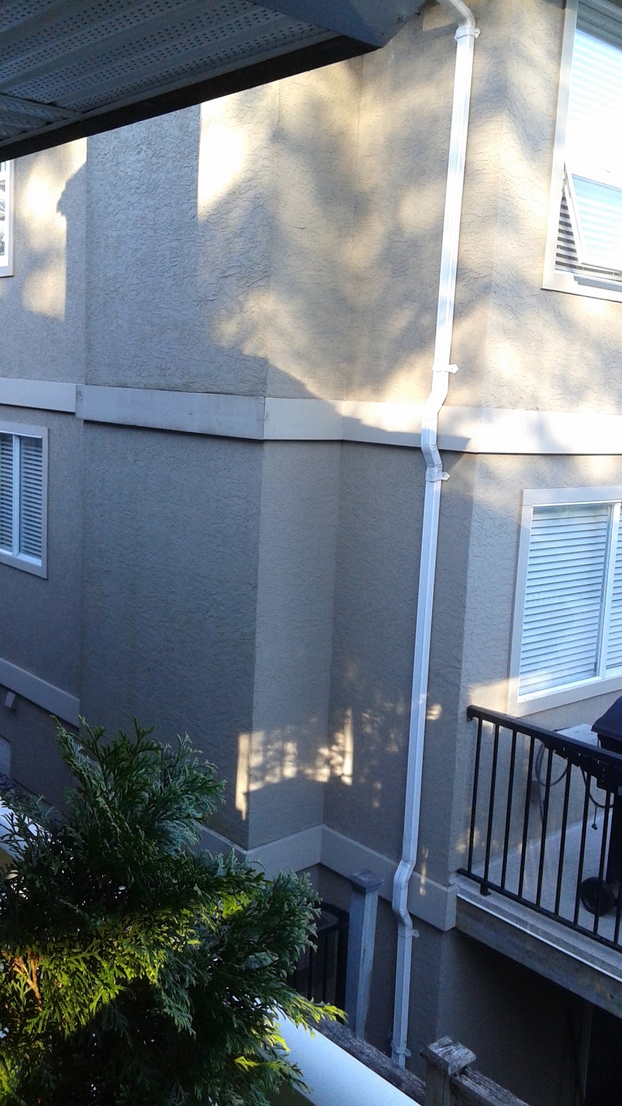 Foxwood Park | 65 Foxwood Dr, Port Moody, BC V3H 4X2, Canada | Phone: (604) 469-4676