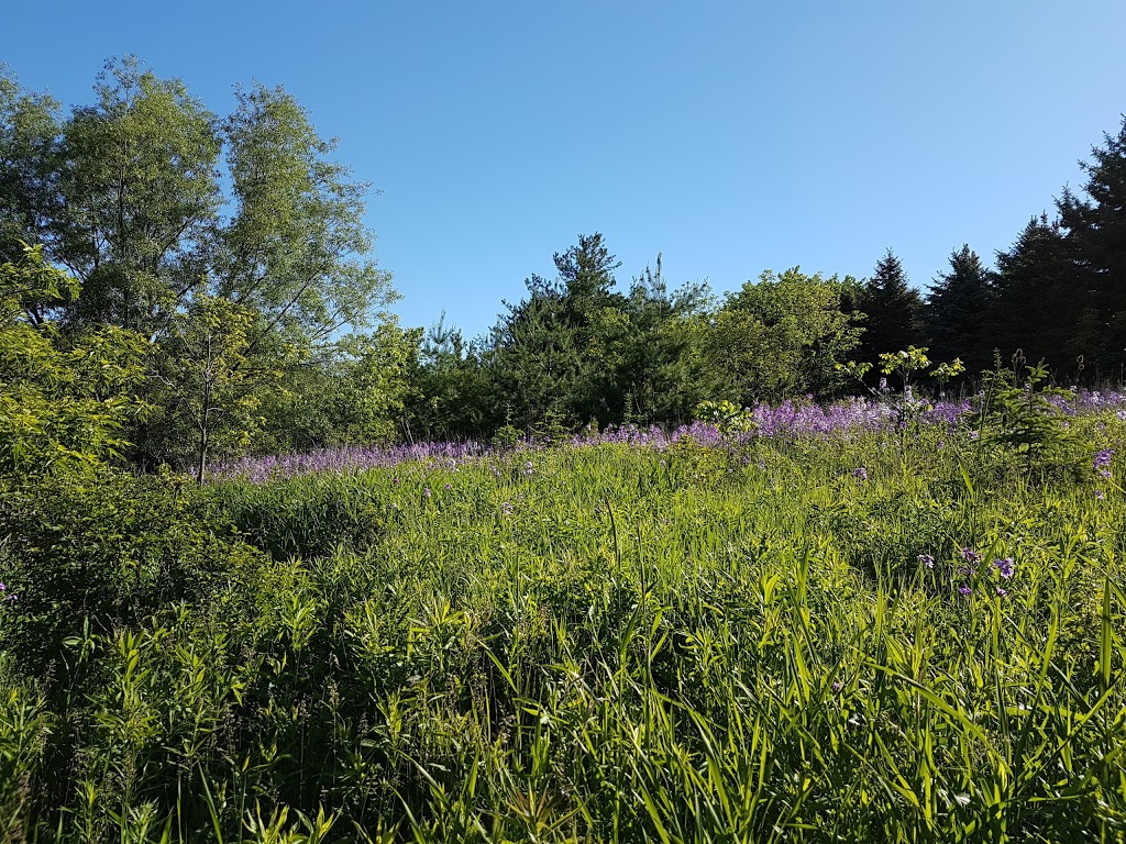 Hydes Mill Hollow | 6200 Creditview Rd, Mississauga, ON L5N, Canada