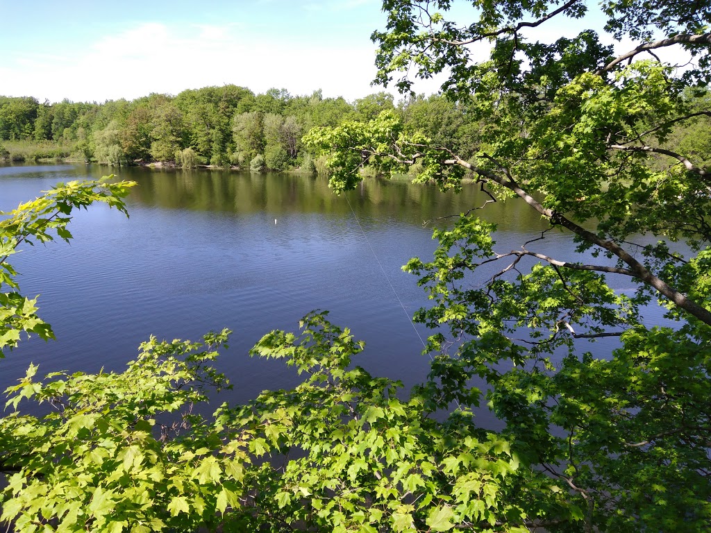 Treetop Trekking Brampton | 10818 Heart Lake Rd, Brampton, ON L6Z 0B3, Canada | Phone: (905) 970-0090